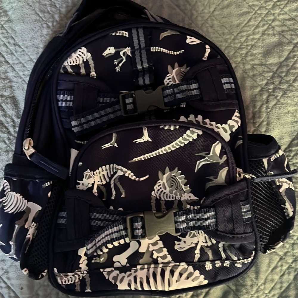 Small glow-in-the-dark, dinosaur, pottery, barn, backpack